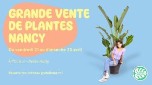 Grande vente de plantes